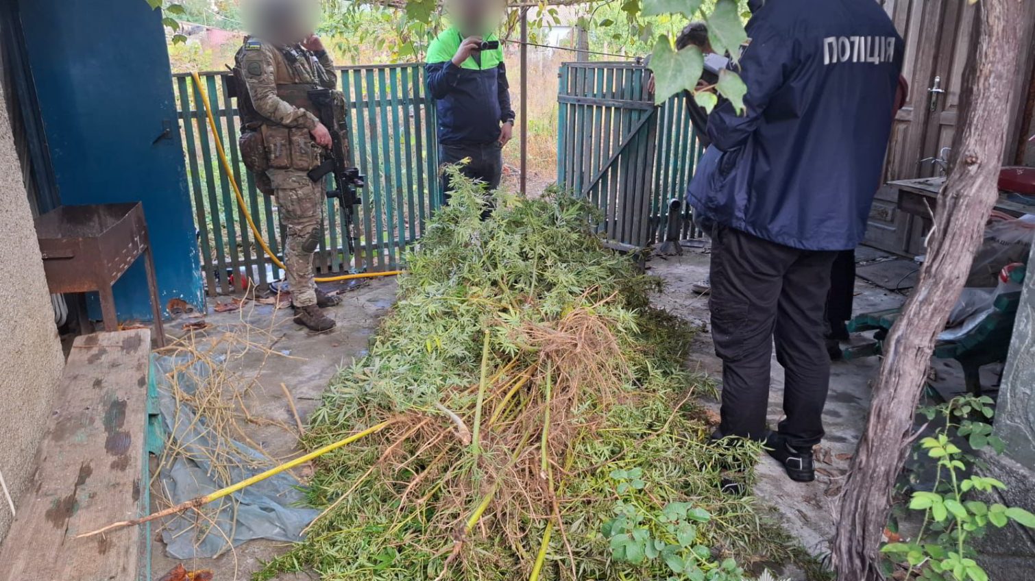 Сім років в’язниці за сто кущів коноплі: в Білгород-Дністровському затримали фермера-наркомана (фото, відео) «фото»