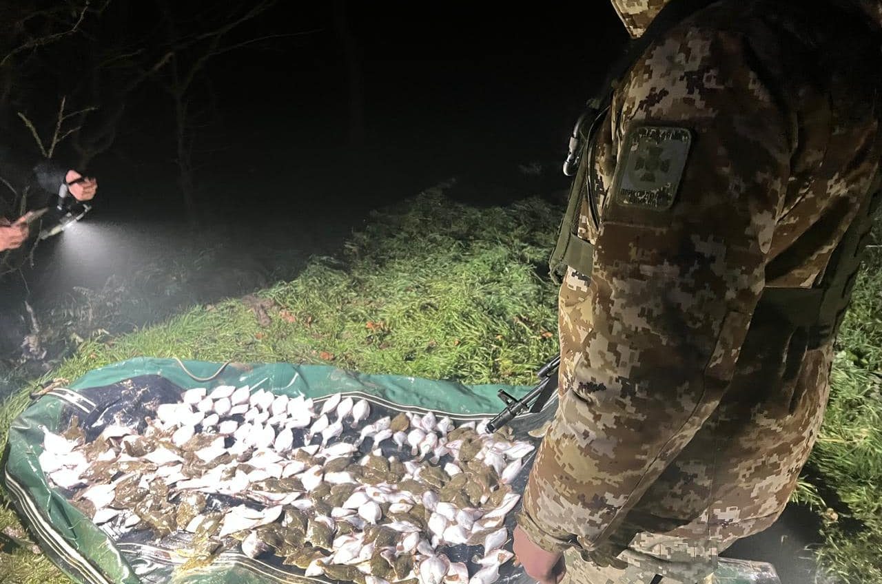 Чотириста двадцять рибин камбали на 18 мільйонів збитків: в нацпарку «Тузлівські лимани» затримали браконьєра (фото) usionline.com Чотириста двадцять рибин камбали на 18 мільйонів збитків: в нацпарку «Тузлівські лимани» затримали браконьєра (фото) «фото»