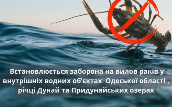 На водоймах Одеської області з грудня діятиме заборона на вилов раків «фото»