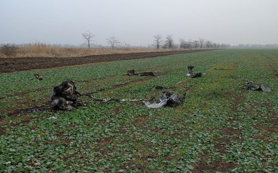 Воїн зенітної ракетної Херсонської бригади збив крилату ракету з ПЗРК (фото) «фото»