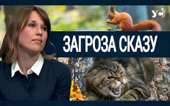 Загроза сказу на Півдні: медики закликають батьків не дозволяти дітям підгодовувати білок та інших тварин на вулицях (відео) «фото»