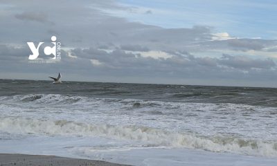 На морі штормить: осіннє море в об’єктиві фотокореспондента УСІ «фото»