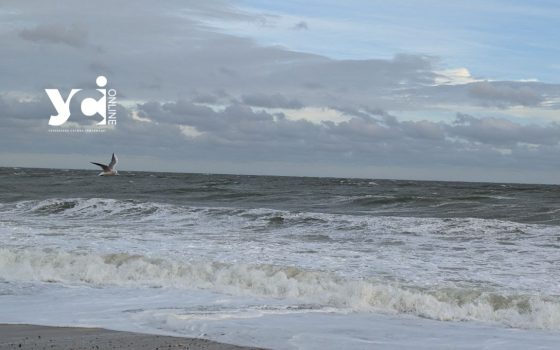 На морі штормить: осіннє море в об’єктиві фотокореспондента УСІ «фото»