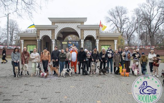 В Одеському зоопарку до Дня домашніх тварин влаштували свято (фото) «фото»