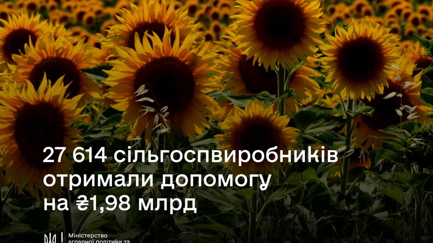 У 2024 році аграрії отримали майже 2 млрд гривень підтримки від Світового банку «фото»