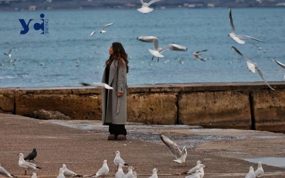 Спокійне зимове море: прогулянка по узбережжю Одеси (фото) «фото»