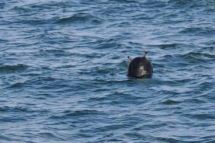 На узбережжя Одещини знову винесло морську міну «фото»