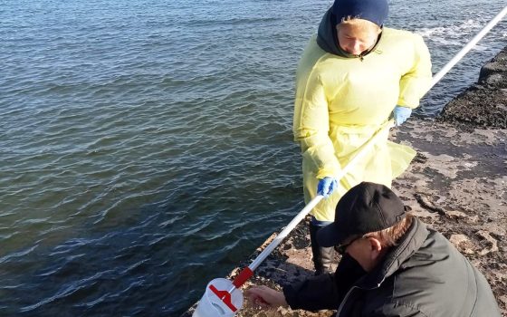 Мазутні плями невдовзі можуть дістатися Одеси: речник ВМС Плетенчук про екозагрозу одеській затоці «фото»