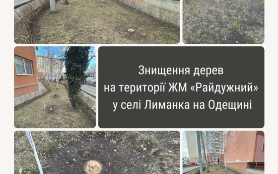 На Одещині мешканці жилмасиву «Райдужний» масово скаржаться на незрозумілу вирубку дерев «фото»