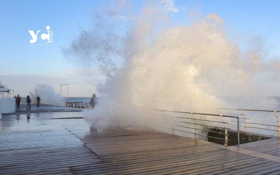 Тепло та шторм: в Одесі на Водохреща – незвичайна погода (фото) «фото»