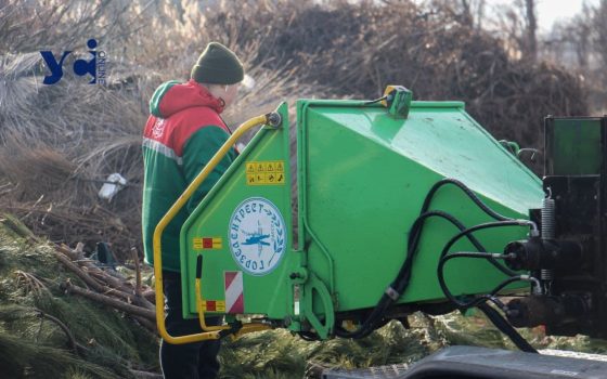 В Одесі відкрили пункти приймання новорічних ялинок «фото»