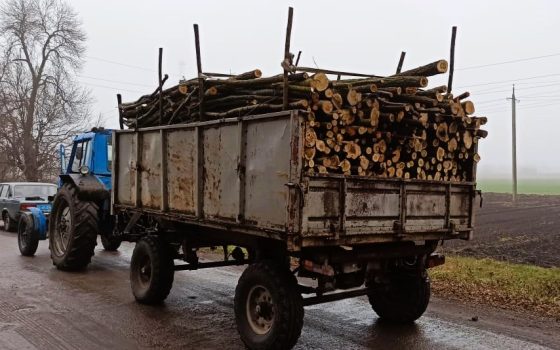 На Миколаївщині знову оштрафували чоловіка за дрова без документів «фото»