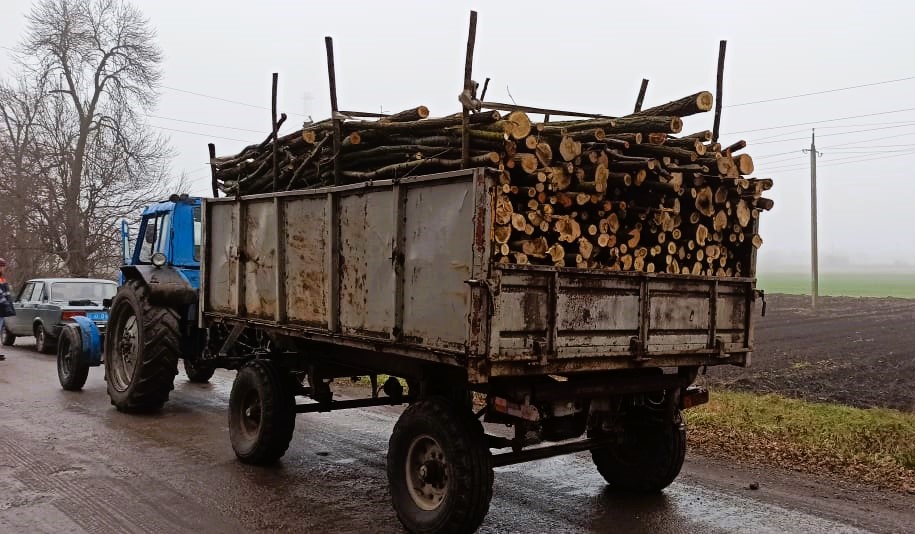 На Миколаївщині знову оштрафували чоловіка за дрова без документів «фото»