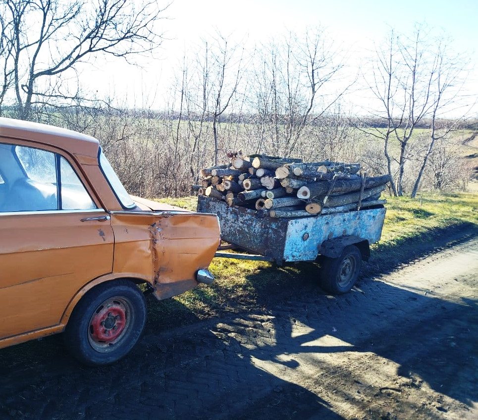 На Одещині продовжують незаконно вирубувати дерева, – порушників штрафують «фото»