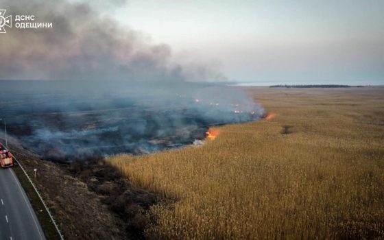 Через людську недбалість на Одещині горіли 12 гектарів землі (фото) «фото»