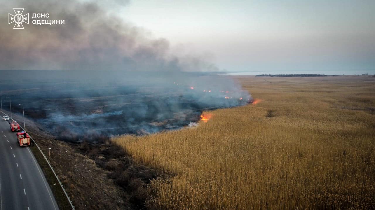 Через людську недбалість на Одещині горіли 12 гектарів землі (фото) «фото»