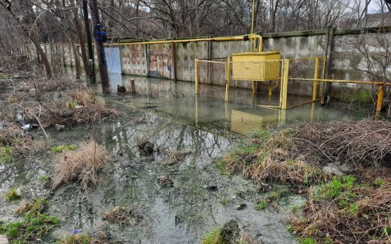 В Одесі вулицю Мускатну залило стоками з «нічиєї» каналізації (фото) «фото»