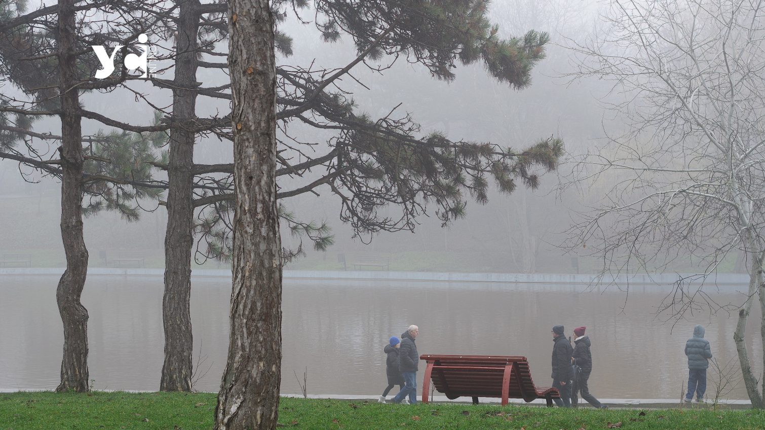 Рекордна тепла зима в Одесі: причини, наслідки та прогнози «фото»