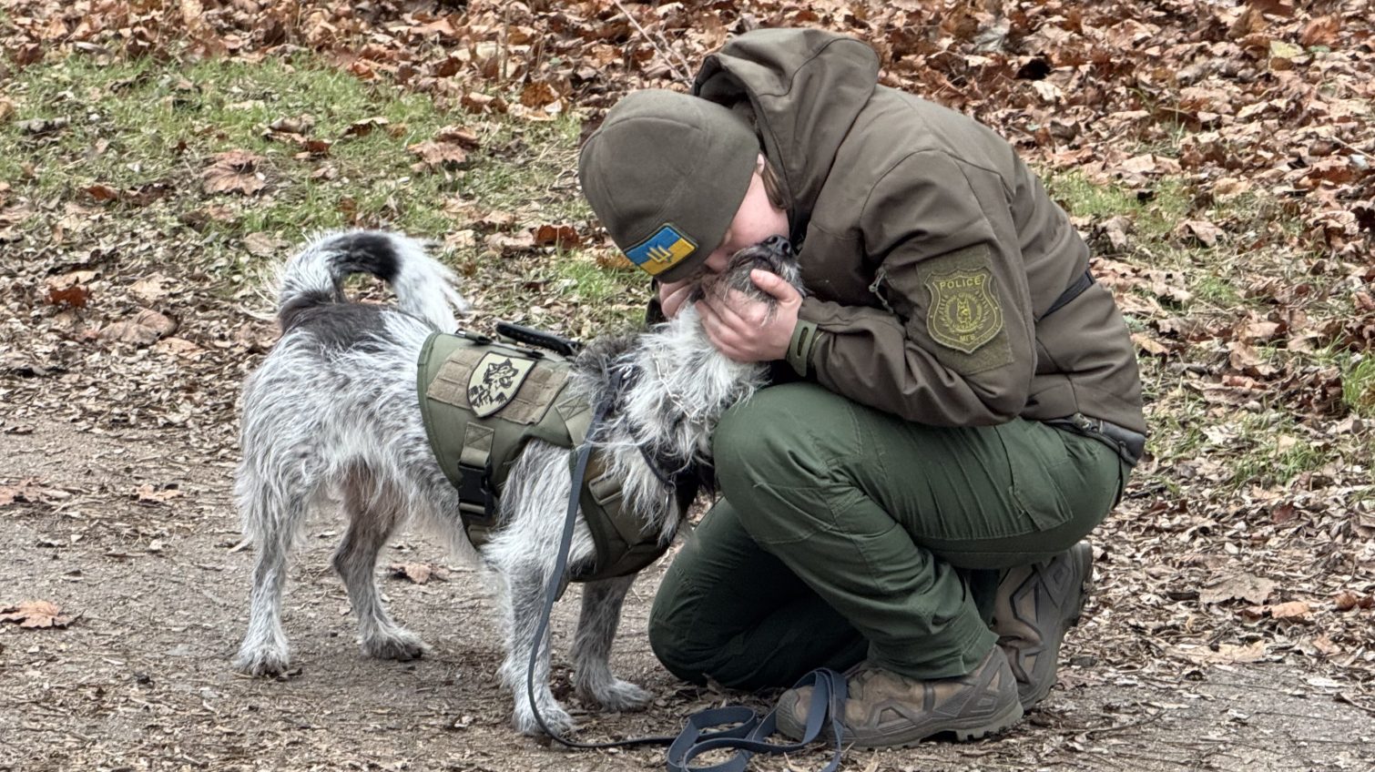 Кінологи-добровольці: 3 роки плідної праці задля захисту Одеси (фото) «фото»