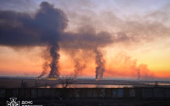 На Одещині горів очерет на великих площах (фото) «фото»