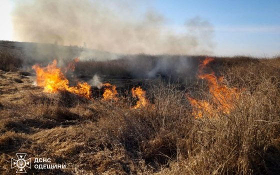 На Одещині впродовж тижня сталося 137 пожеж сухої рослинності (фото) usionline.com На Одещині впродовж тижня сталося 137 пожеж сухої рослинності (фото) «фото»