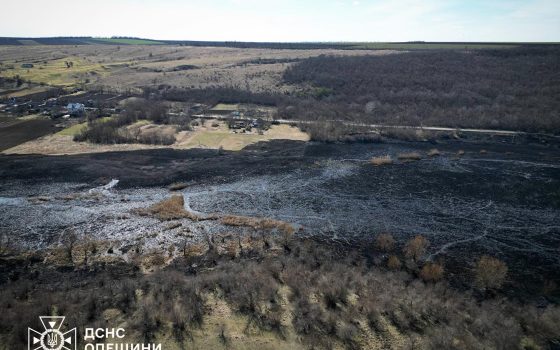 На Одещині продовжують вирувати масштабні пожежі (фото) «фото»