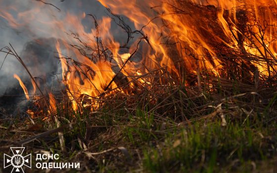 Мешканців Одещини застерігають від спалювання сухостою: штрафи до 12 тисяч гривень usionline.com Мешканців Одещини застерігають від спалювання сухостою: штрафи до 12 тисяч гривень «фото»