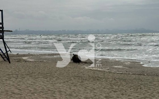 В Одесі на узбережжі знайшли протикорабельну міну (фото) «фото»