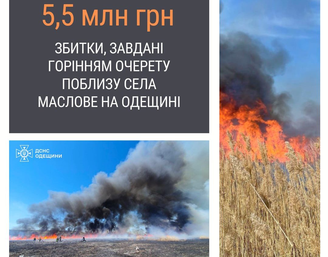 Масштабна пожежа на Одещині завдала збитків на 5,5 мільйонів гривень usionline.com Масштабна пожежа на Одещині завдала збитків на 5,5 мільйонів гривень «фото»