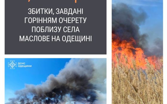 Масштабна пожежа на Одещині завдала збитків на 5,5 мільйонів гривень «фото»