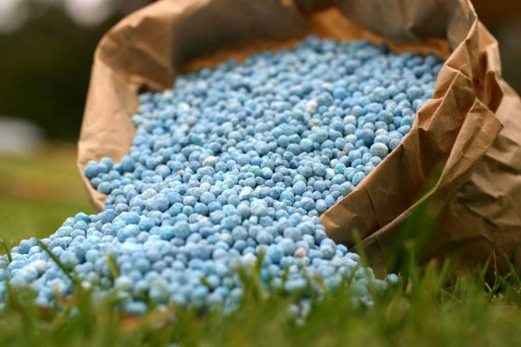 Російські добрива, арештовані на Одещині, продали з третьої спроби за 18 млн грн usionline.com Російські добрива, арештовані на Одещині, продали з третьої спроби за 18 млн грн «фото»