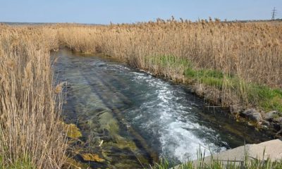 Екологи перевірили можливе забруднення води у Куяльницькому лиману: що показала інспекція usionline.com Екологи перевірили можливе забруднення води у Куяльницькому лиману: що показала інспекція «фото»