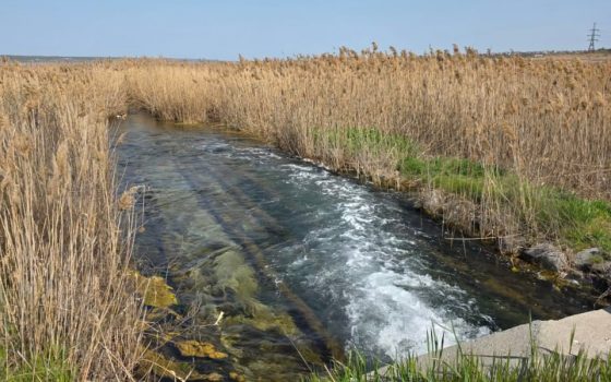 Екологи перевірили можливе забруднення води у Куяльницькому лиману: що показала інспекція «фото»