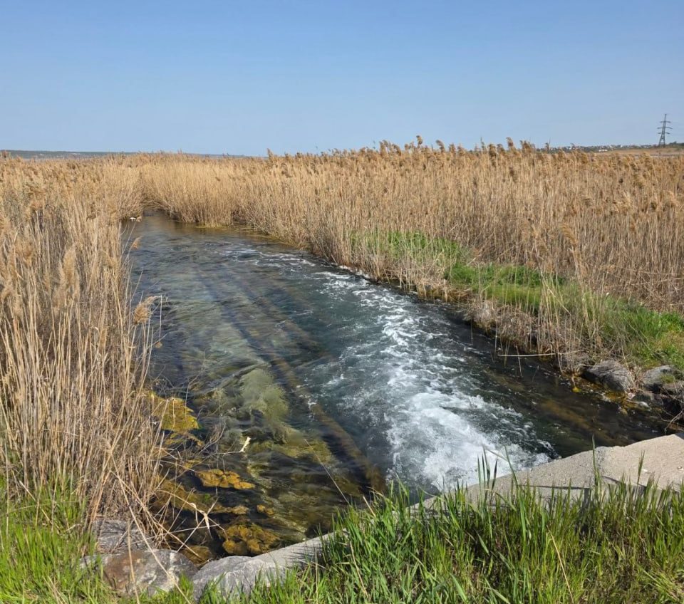 Екологи перевірили можливе забруднення води у Куяльницькому лиману: що показала інспекція usionline.com Екологи перевірили можливе забруднення води у Куяльницькому лиману: що показала інспекція «фото»