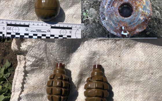 На Одещині чоловік кривдив дружину та ховав у городі гранати (фото) «фото»