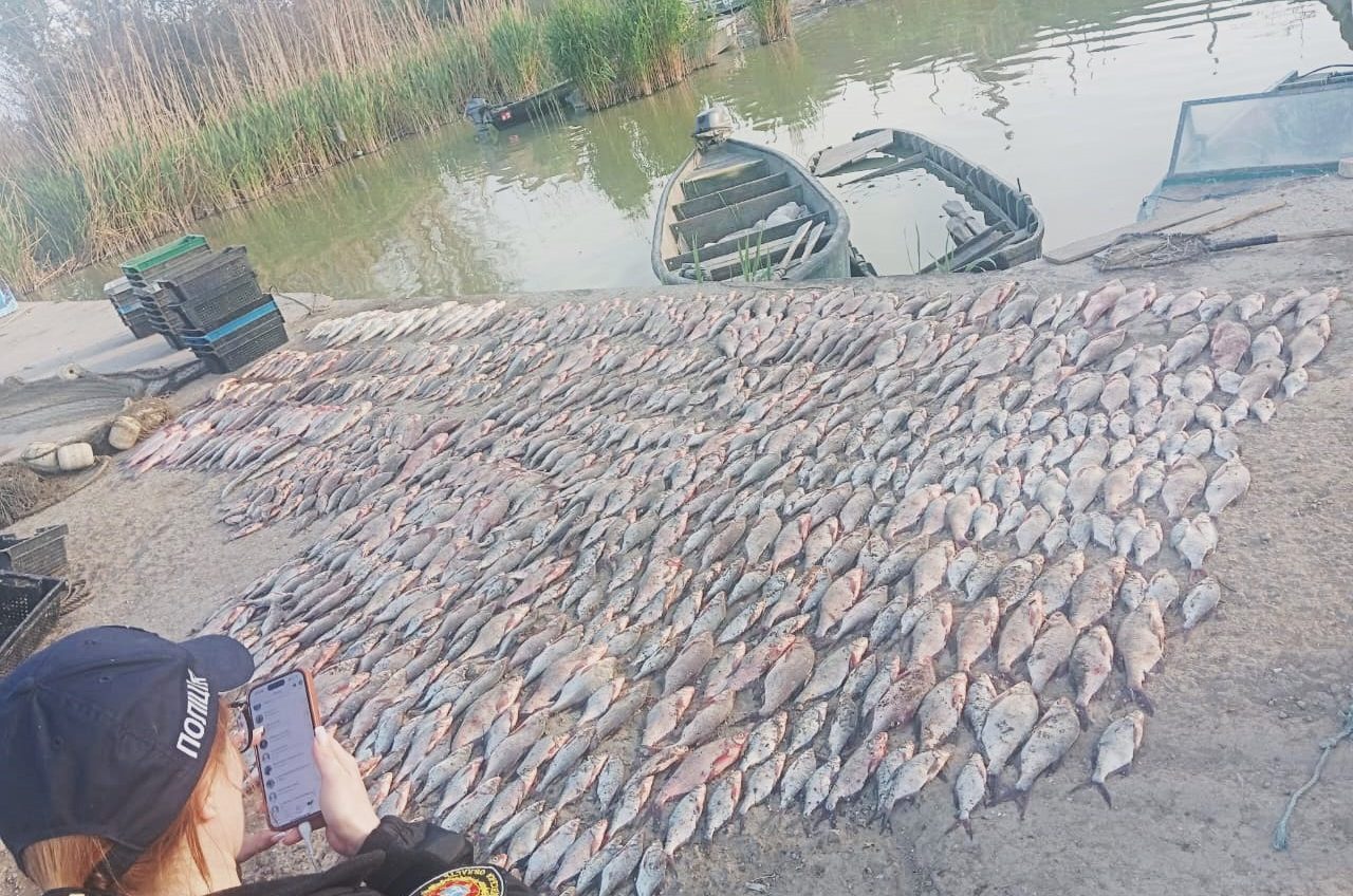 На озері Катлабух браконьєри наловили риби на півтора мільйона гривень usionline.com На озері Катлабух браконьєри наловили риби на півтора мільйона гривень «фото»