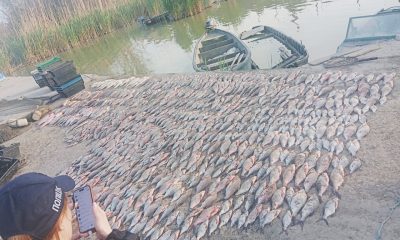 На озері Катлабух браконьєри наловили риби на півтора мільйона гривень usionline.com На озері Катлабух браконьєри наловили риби на півтора мільйона гривень «фото»