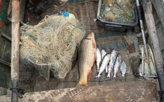 На Одещині чоловіка оштрафували на 45 тисяч гривень за 7 незаконно виловлених рибин «фото»