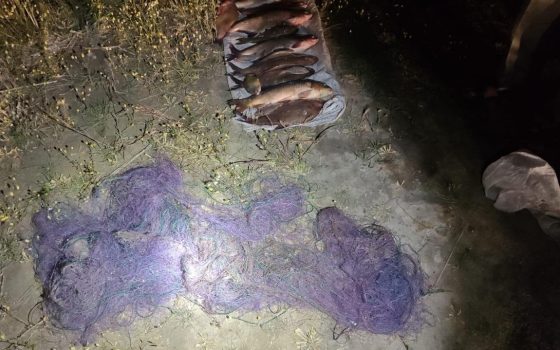 Порибалив на 32 тисячі гривень: на озері Катлабух затримали браконьєра (фото) «фото»