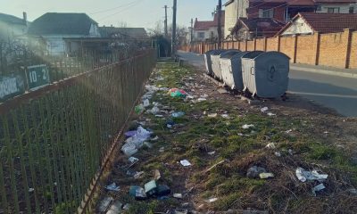 Одеську мерію зобов’язали накрити кришками 5 сміттєвих баків в Київському районі міста (фото) usionline.com Одеську мерію зобов’язали накрити кришками 5 сміттєвих баків в Київському районі міста (фото) «фото»
