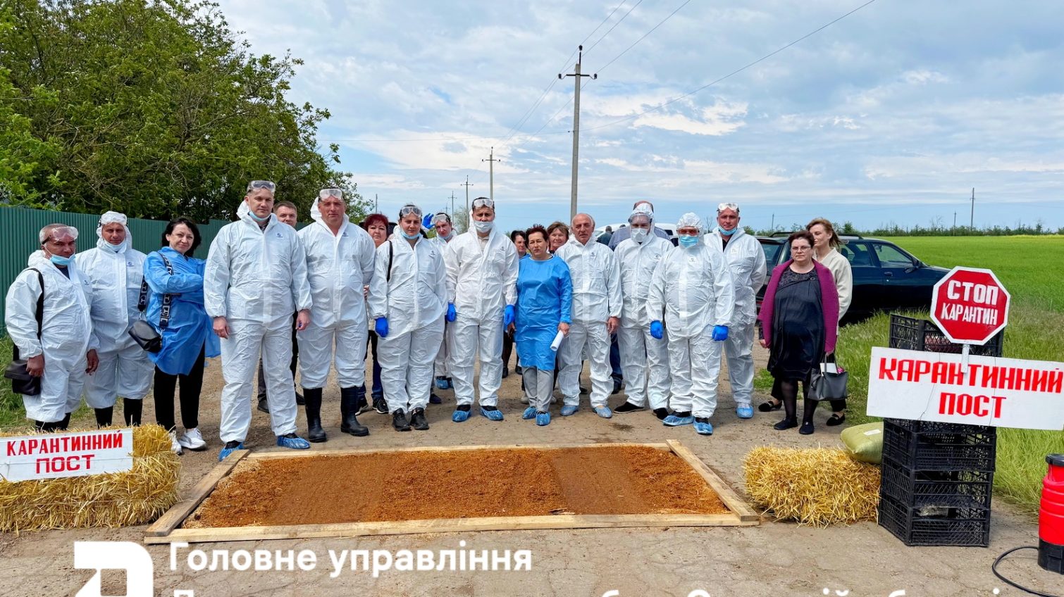 На Одещині «спалахнула епідемія ящуру» (фото) «фото»