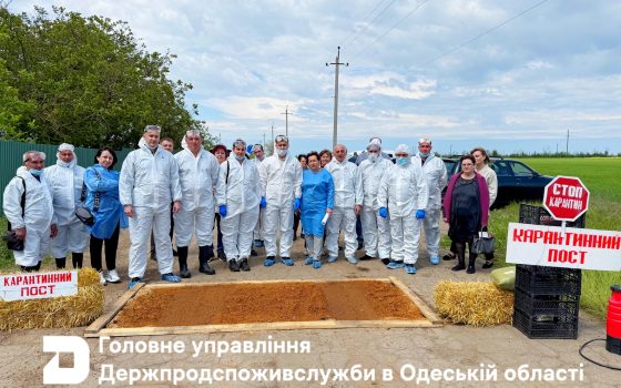 На Одещині «спалахнула епідемія ящуру» (фото) usionline.com На Одещині «спалахнула епідемія ящуру» (фото) «фото»