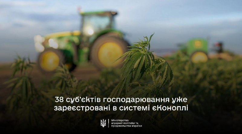 єКонопля: вже майже 40 компаній звітують про вирощування промислової рослини usionline.com єКонопля: вже майже 40 компаній звітують про вирощування промислової рослини «фото»