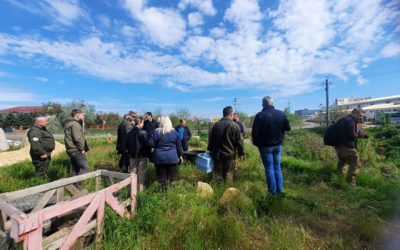 Побутові скиди у море: фахівці обстежили територію навкруги пляжу «Чорноморка» (фото) «фото»