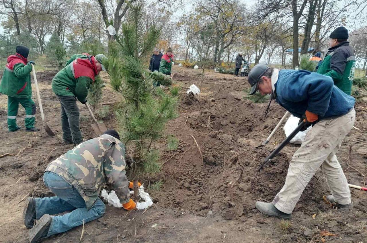 Одеситів запрошують на висадку дерев до Дня матері та Дня пам’яті та примирення usionline.com Одеситів запрошують на висадку дерев до Дня матері та Дня пам’яті та примирення «фото»
