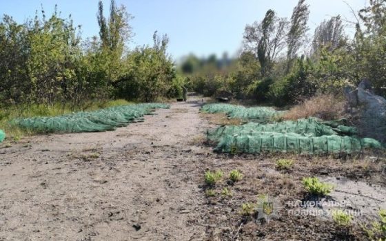 На Сухому лимані спіймали рибалок, які набраконьєрили на 3 мільйони гривень (фото) «фото»
