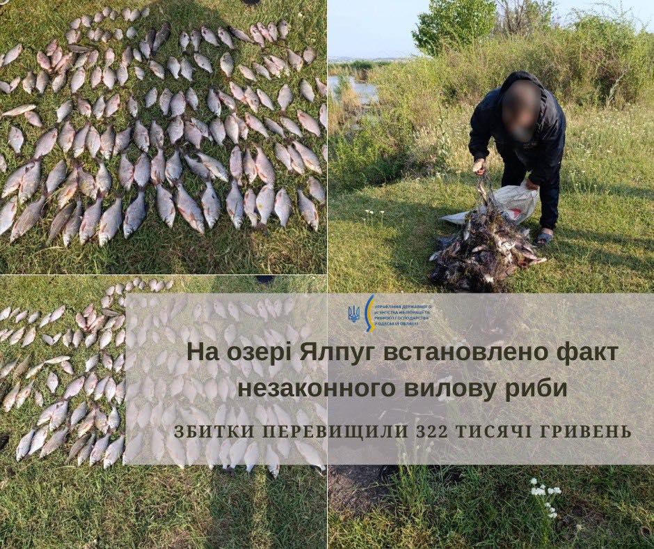 Понад півтори сотні рибин і 322 тисячі гривень штрафу: на озері Ялпуг знову піймали браконьєра usionline.com Понад півтори сотні рибин і 322 тисячі гривень штрафу: на озері Ялпуг знову піймали браконьєра «фото»