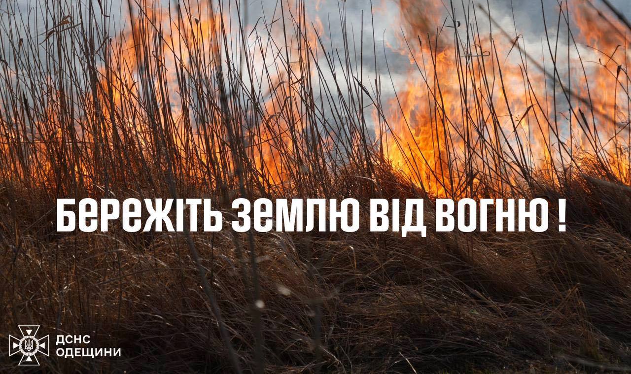 На Одещині з початку року сталося 18 великих пожеж в екосистемах: збитки вимірюються мільярдами usionline.com На Одещині з початку року сталося 18 великих пожеж в екосистемах: збитки вимірюються мільярдами «фото»