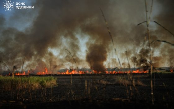 Ціна людської недбалості: лише за добу в Одеській області пожежі знищили 10 гектарів землі (фото) «фото»