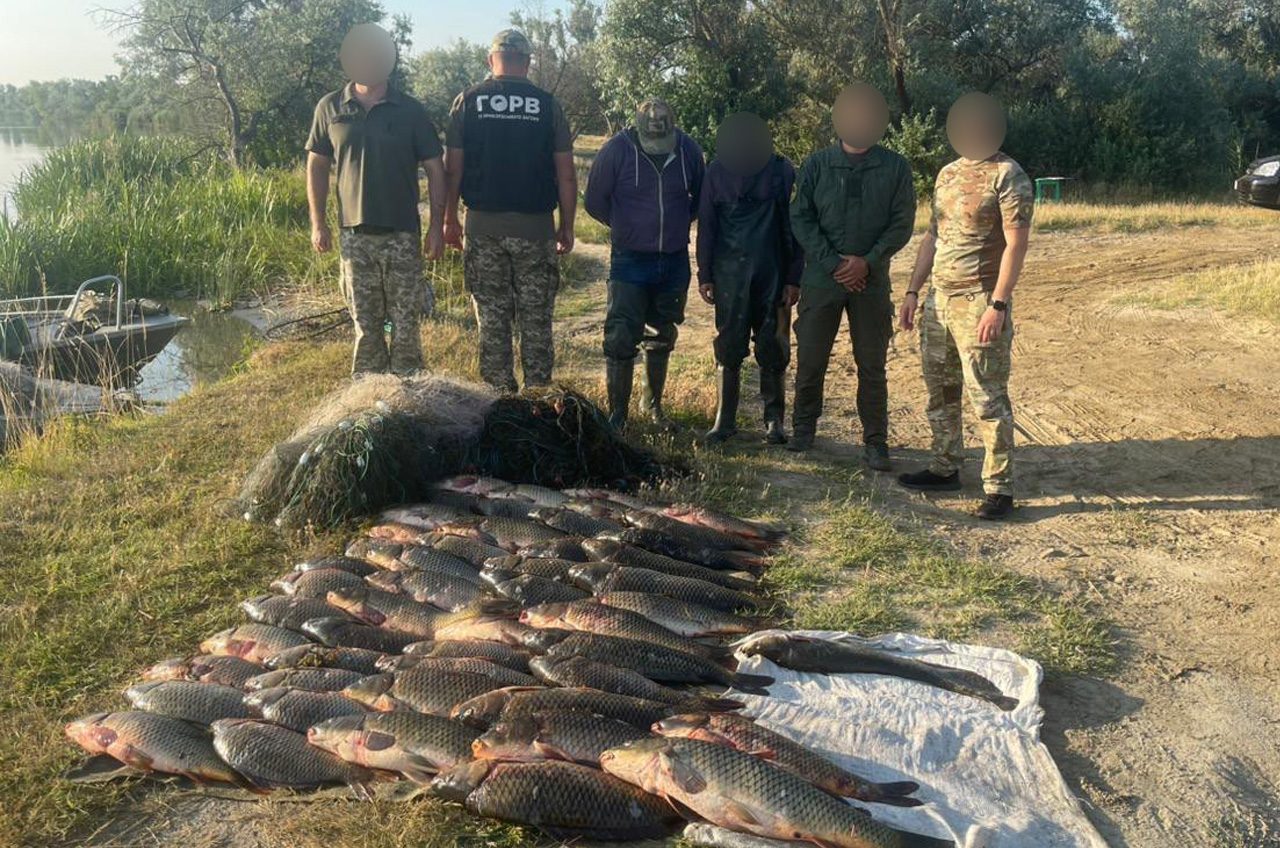 Півсотні коропів і сомів на майже 200 тисяч гривень: на Одещині затримали браконьєрів (фото) usionline.com Півсотні коропів і сомів на майже 200 тисяч гривень: на Одещині затримали браконьєрів (фото) «фото»